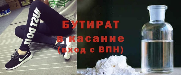 твердый Бородино