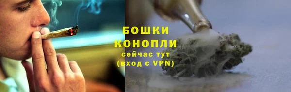 трава Зеленокумск