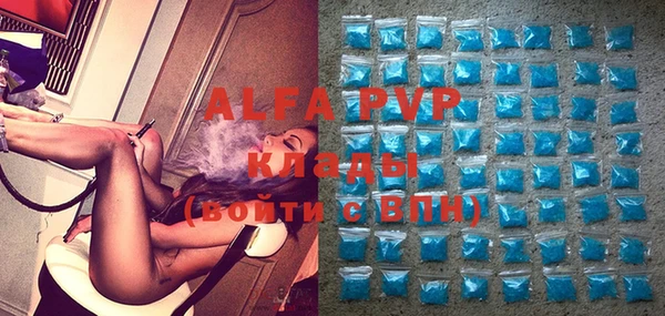 твердый Бородино