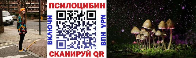 магазин    Рязань  Галлюциногенные грибы MAGIC MUSHROOMS 